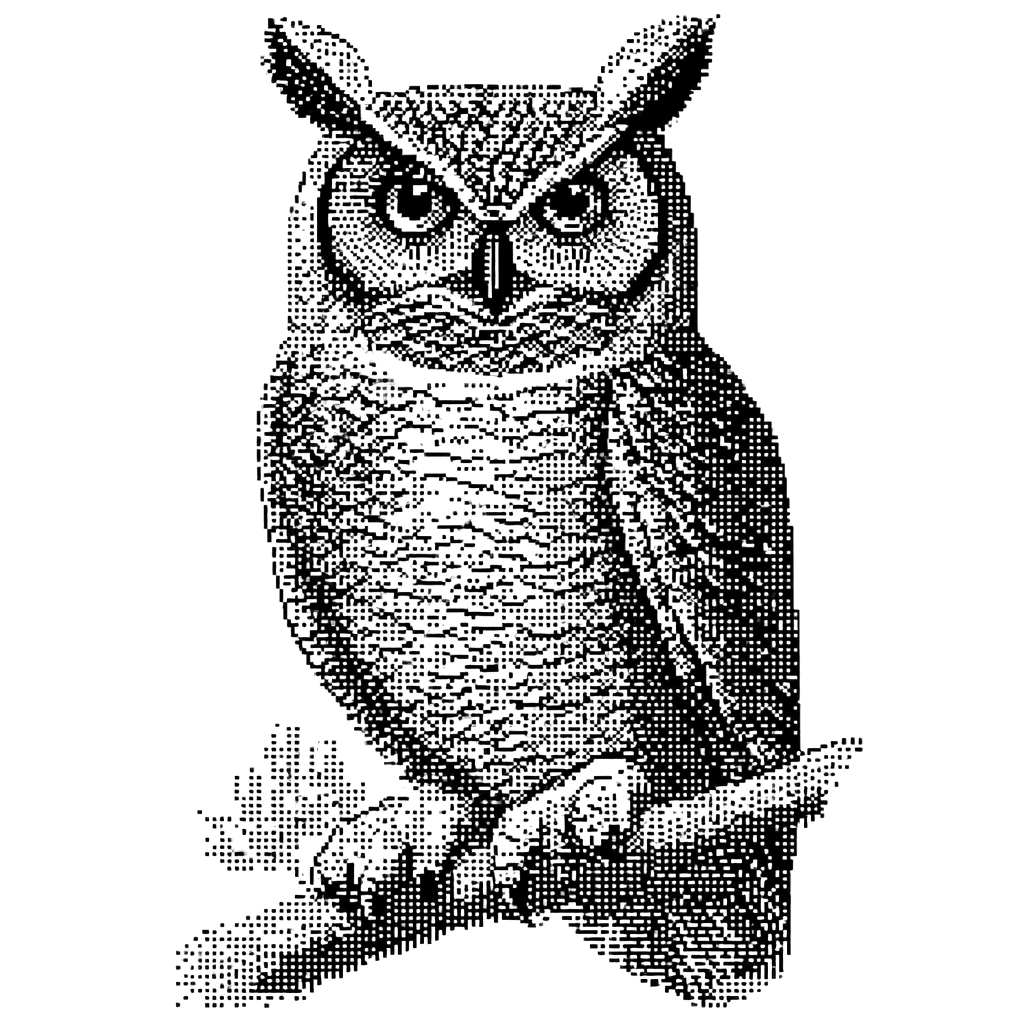 Owl — Wisdom